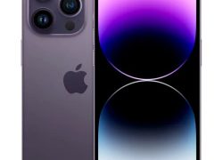 Violet Intense Purple